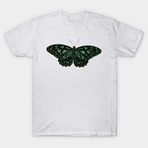 Vintage butterflies Pattern T-Shirt by Yourfavshop600